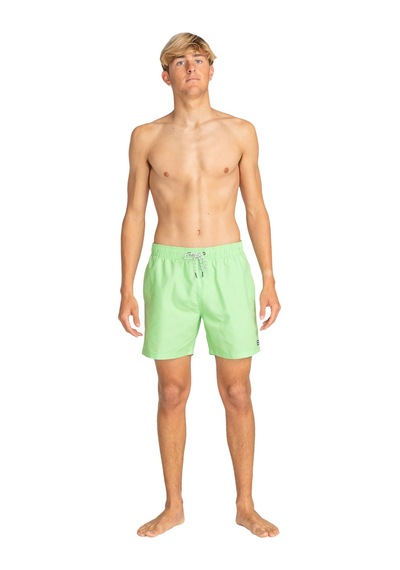 Bıllabong Billabong Erkek Şort All Day Lb Fıstık Yeşili 7315 Çok Renkli