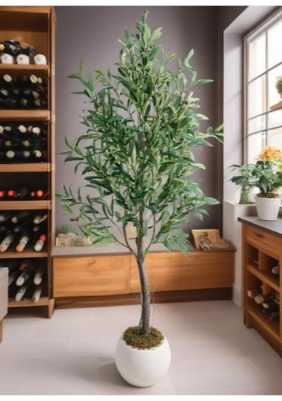 Yapay Zeytin Ağacı 160cm İki Gövdeli Beyaz Küre Saksıda Salex Doğal Gerçek Görünümlü Yapay Ağaç
