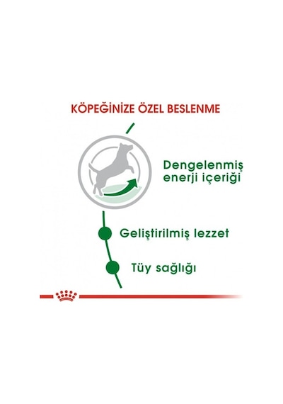 Mini Adult Köpek Maması 2 Kg + 2 Adet Yaş Mama Hediye