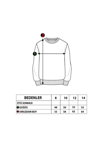 Toontoy Kids Toontoy Erkek Çocuk Baskılı Sweatshirt Kahverengi