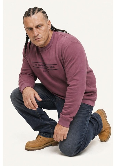 Starbattal Erkek Büyük Beden Sıfır Yaka 3ip Sweat Original 24203 Eflatun-2861