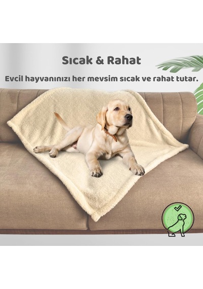 Kedi Köpek Battaniyesi Premium Peluş Evcil Hayvan Uyku Battaniyesi Yıkanabilir Krem 60x80