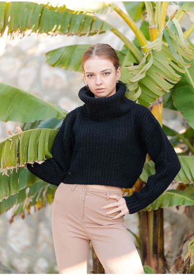 Balıkçı Yaka Örme Crop Kazak Siyah