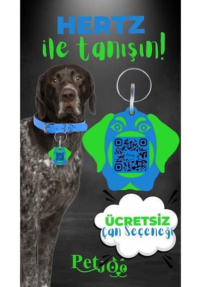 Petjoo 26.Hertz Yeşil-Mavi Qr'lı Köpek Künyesi