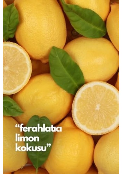 Lemon-limon Oda Kokusu Yedek Makine Spreyi 250 Ml Diğer