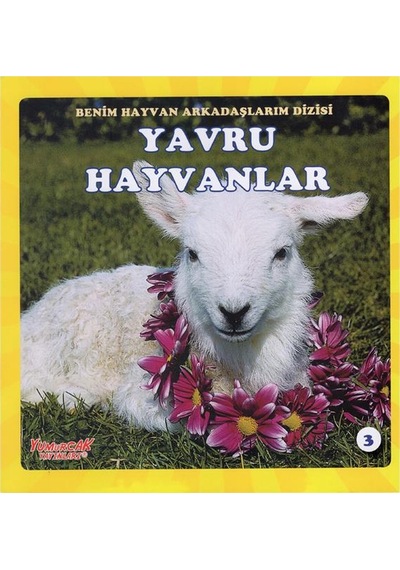 +4 Yaş Benim Hayvan Arkadaşlarım Dizisi 4’Lü Kitap Seti Yumurcak