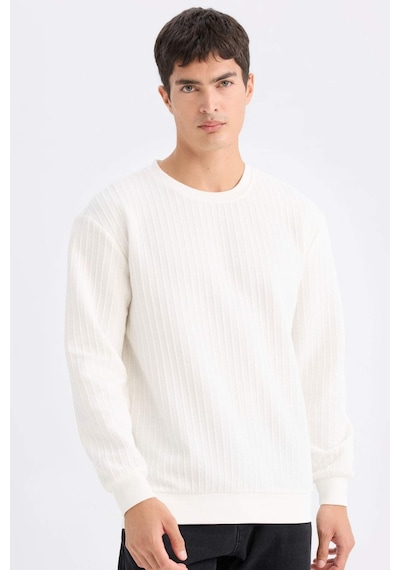 DeFacto Regular Fit Bisiklet Yaka Jakarlı Sweatshirt D5391AX24AUWT32