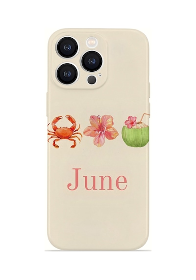Apple iPhone Uyumlu 12 Pro Max Vorian İnce Kamera Korumalı Mika Kılıf June Seaside June Seaside Mika