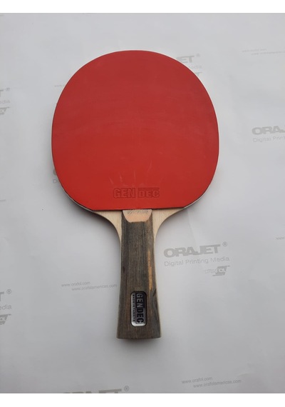 GENDEC 1071 MASA TENİSİ RAKETİ