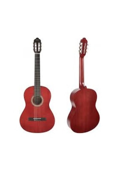 Valencia Vc204Twr Klasik Gitar Kılıf Pena