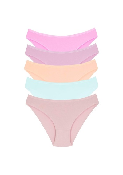 1001 Kadın 5'lı Günlük Slip Külot V19-Pembe-Lila-Somon-Mint-Vizon Çok Renkli