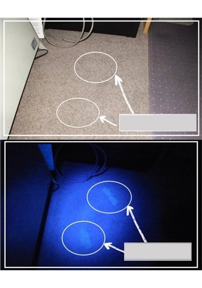 21 Adet Mor Led'li Uv Işınlı 10cm Alüminyum Kasa Pilli El Feneri