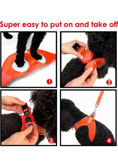 Air-Mesh Küçük ve Orta Irk Kedi Köpek Göğüs Tasması - Yumuşak, Nefes Alabilir, Dayanıklı NEON TURUNCU 3XS