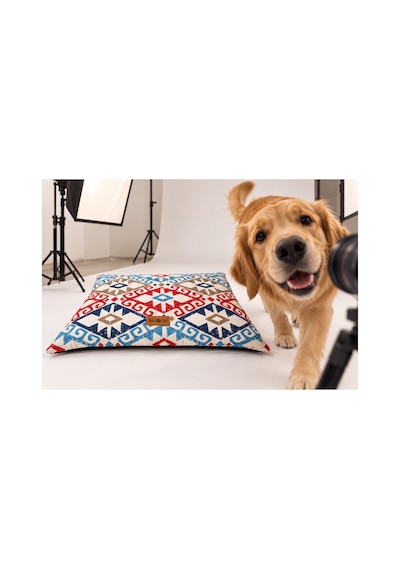 Kedi Ve Köpek Yer Minderi Üst Kalite Yıkanabilir Kılıflı Fermuarlı Boncuk Elyaf Kaydırmaz Taban Kedi Ve Köpek Yatağı Kilim Mavi Kırmızı 1717175119 Kedi Ve Köpek Yer Minderi Üst Kalite Yıkanabilir Kılıflı Fermuarlı Boncuk Elyaf Kaydırmaz Taban Kedi Ve Köpek Yatağı Kilim Mavi Kırmızı 1717175119