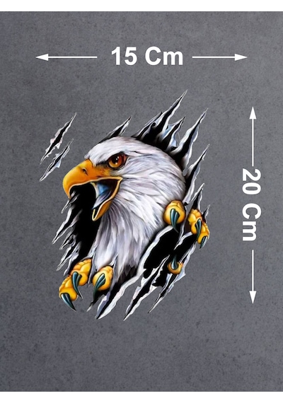 Kartal Vahşi Pençe Beşiktaş Karakartal Sticker - Araba Oto Motosiklet Sticker - 00045 20x15 Cm