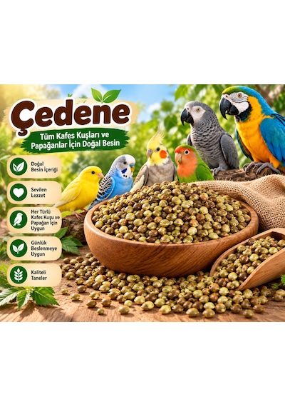 Çiğ Çedene Yerli Üretim 500 Gr