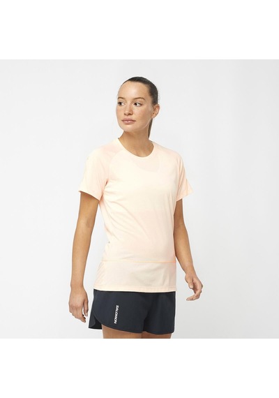 Salomon Cross Run Ss Tee W 27956 Çok Renkli