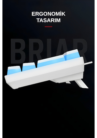 Briar Type-c Bağlantılı Rgb Puding Tuşlu Mekanik Red Switch Türkçe