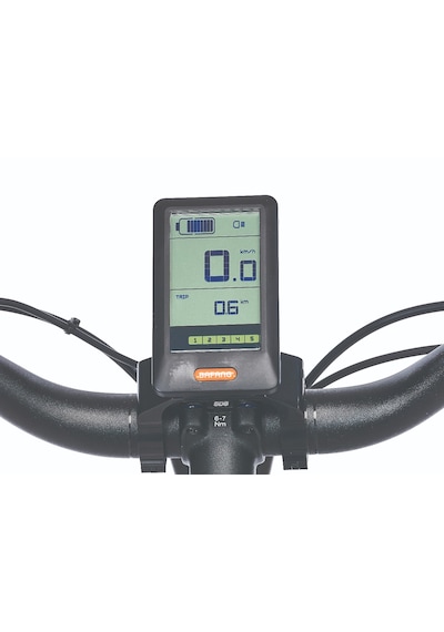 Corelli Sacha-l 46 Cm 9v Hd Şeffaf Mat Elektrikli Şehir Bisikleti Çok Renkli