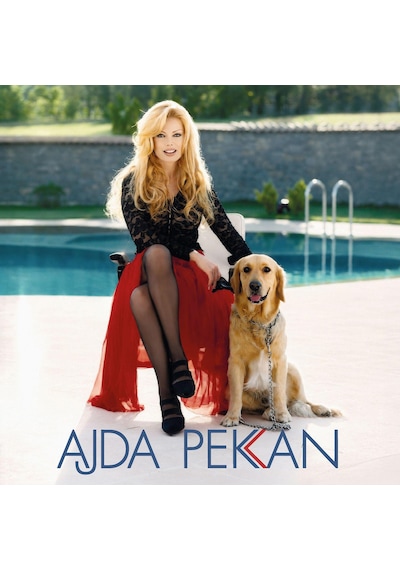 Ajda Pekkan - Eğlen Güzelim Plak