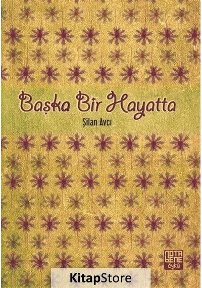 Başka Bir Hayatta - Şilan Avcı - Nota Bene Yayınları