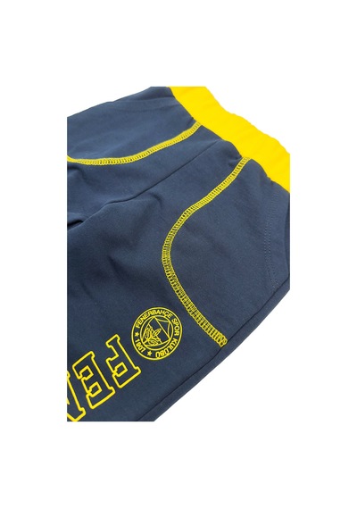 Fenerium Fenerbahçe Lisanslı Sarı Lacivert Detaylı Çocuk Eşofman Alt Lacivert