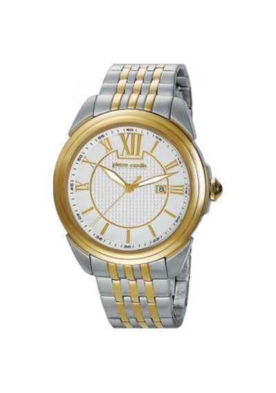 Pierre Cardin PC104891F02 Erkek Kol Saati