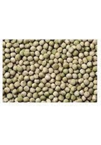Sanita Bezelye Tohumu 500 GR