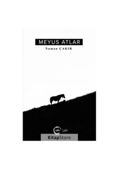 Meyus Atlar - Numan Çakır - Sıfır Yayınları