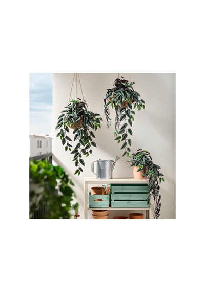 Ikea Fejka Yapay Bitki 15 Cm Yeşil