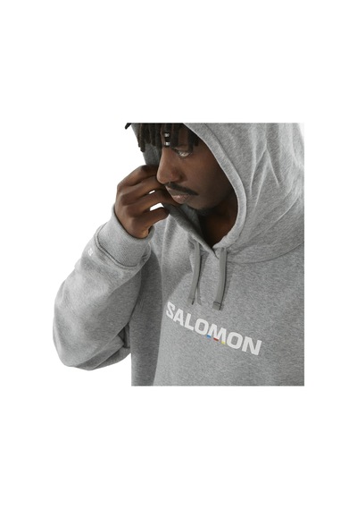 Salomon Salomon Sal Logo Perf Hoodie Erkek Gri Sweatshirt 1009 Gri