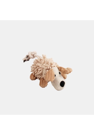 Pawise 15254 Dog Molar Toy Köpek Oyuncağı