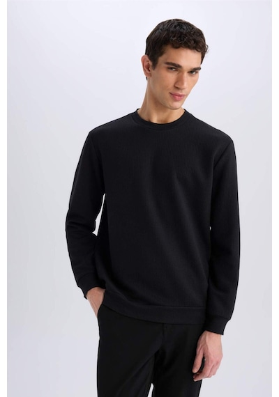 DeFacto Regular Fit Bisiklet Yaka Basic Düz Sweatshirt D7231AX25SPBK81