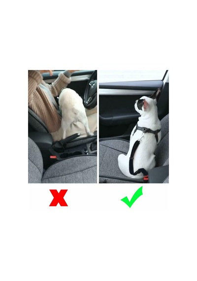 Köpek Araç Araba Emniyet Kemeri Oto Evcil Hayvan Seyahat Tasma