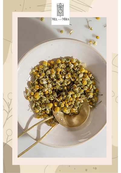 Premium Papatya Çayı 50g, Daisy, Asteraceae, Chamomillae Romanae