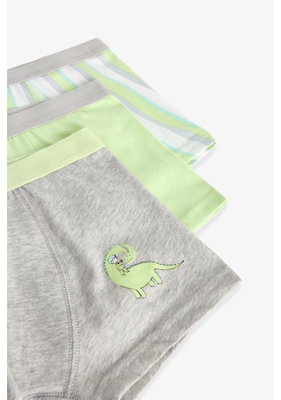Penti  Renkli Erkek Çocuk Dino 3'lü Boxer