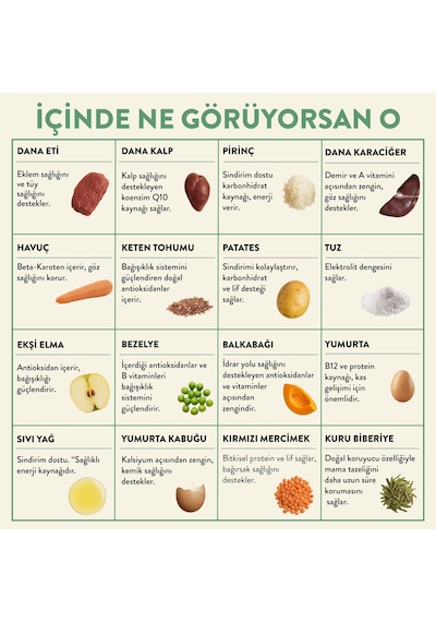 Kito Fresh Dana Etli Taze Yetişkin Köpek Yemeği 6 x 250 G