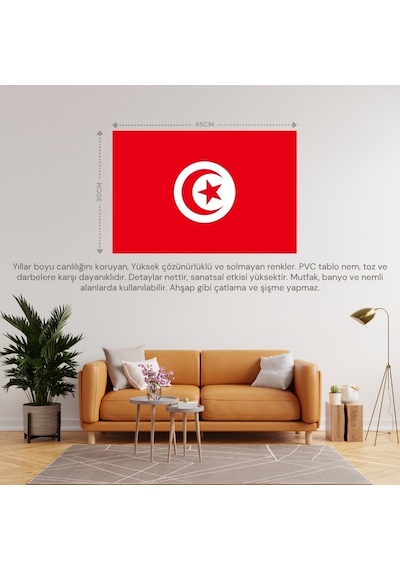Tunus Ülke Bayrağı 45x30cm Duvar Tablosu Çerçevesiz Pvc Tablo