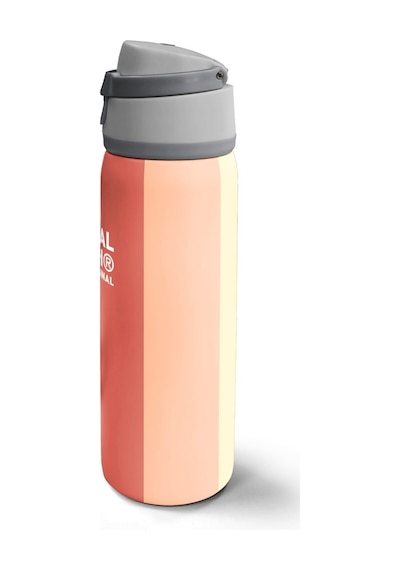 Coral High Kids Renkli Çizgili Desenli Pipetli Ve Direkt Içim Çelik Termos 800 Ml 38540