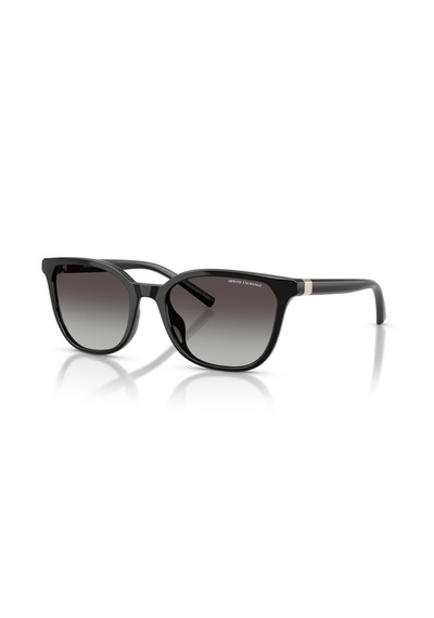 Armani Exchange Ax4168u-81588g Kadın Güneş Gözlüğü Siyah