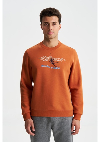 AR-MA Arma Erkek Regular Fit 3 İplik Şardonlu Pamuklu Bisiklet Yaka Sweatshirt 001