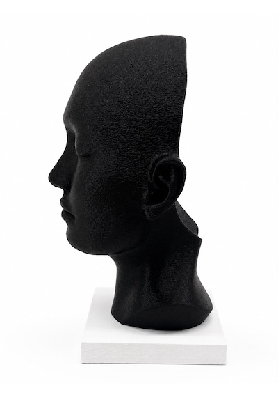 Yaşam Hücreleri 18cm Dekoratif Biblo 3d Baskı 15cm