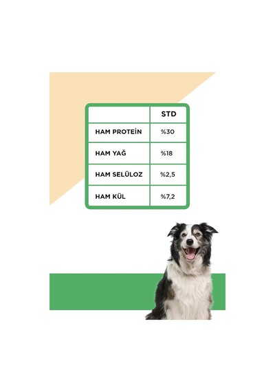 Tr Daily Yavru Köpek Maması Kuzu Ve Pirinçli 12 Kg