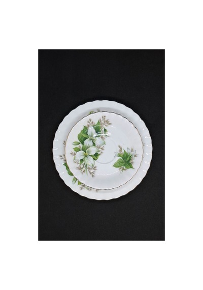 Trillium Bone China Porselen Duble Kahve Fincanı Ve Tabakları 3 Parça 120 Ml Yeşil