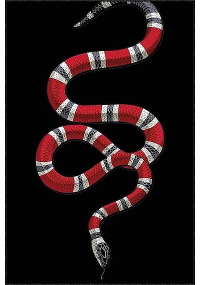 Siyah Kaymaz Taban Yıkanan Gucci Desen Mutfak Halısı Ar1168n11