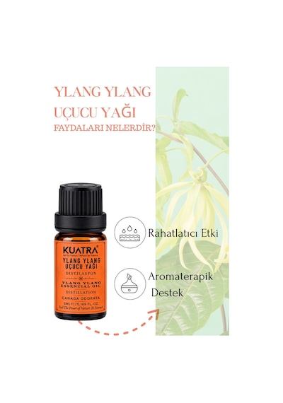 Kuatra Ylang Ylang Uçucu Yağı 5 ML