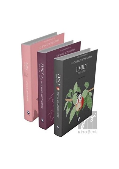 Rüzgarın Kızı Emily Serisi Cem Yayınevi - Cem Yayınevi