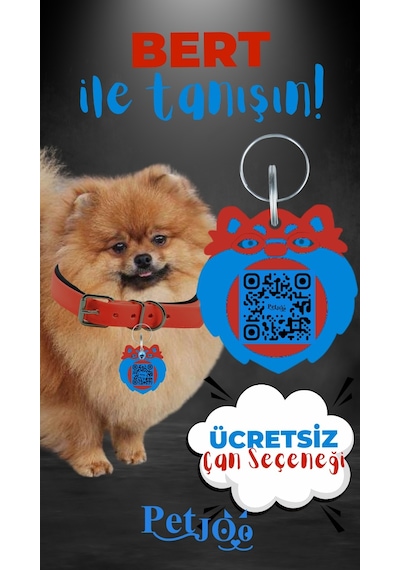 Petjoo 13.Bert Mavi-Kırmızı Qr'lı Köpek Künyesi