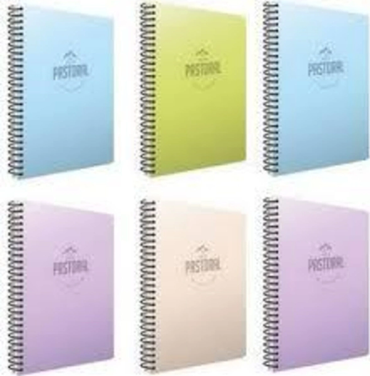 Pastoral Plastik Kapak Spiralli Okul Defter 96 Yaprak Kareli 17x24 Cm 4'lü Paket