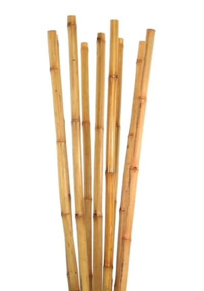 20 Adet Bambu Bitki Fidan Destek Çubuğu 1,5 Metre